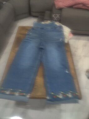Her Universe Studio Ghibli denim overalls size 3x New